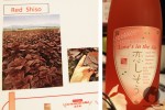 backyard_bite_shochu_jetro-9
