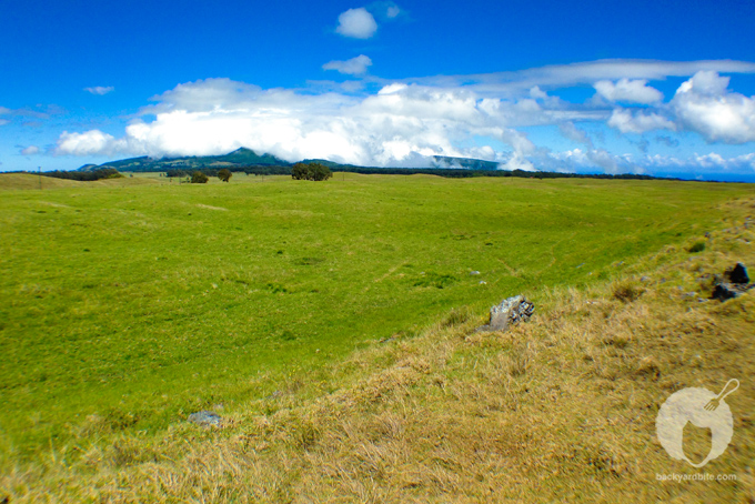 backyard_bite_dahana_ranch_10