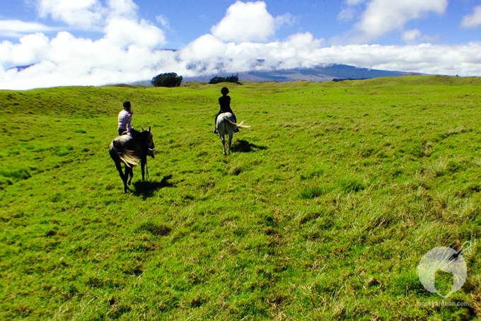 backyard_bite_dahana_ranch_14