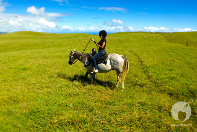 backyard_bite_dahana_ranch_17