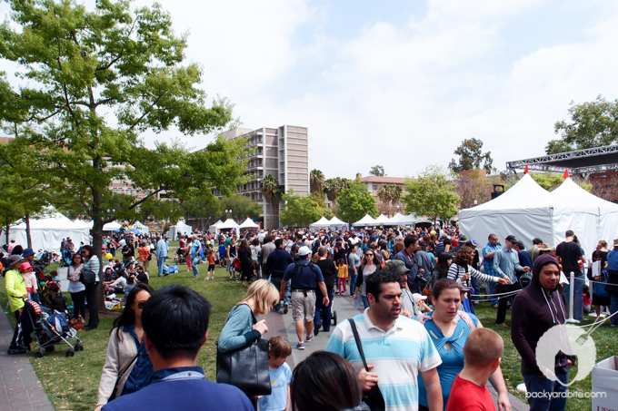 backyardbite-festival-of-books