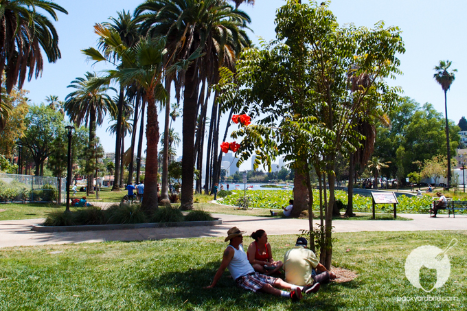 Relaxing in the park