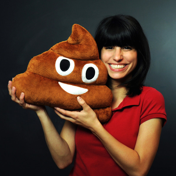 emoji poop pillow